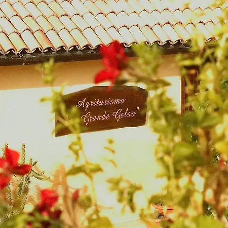 Al Grande Gelso Farm stay *