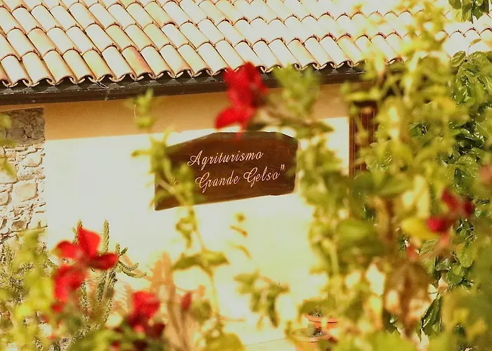 Al Grande Gelso Agroturismo *